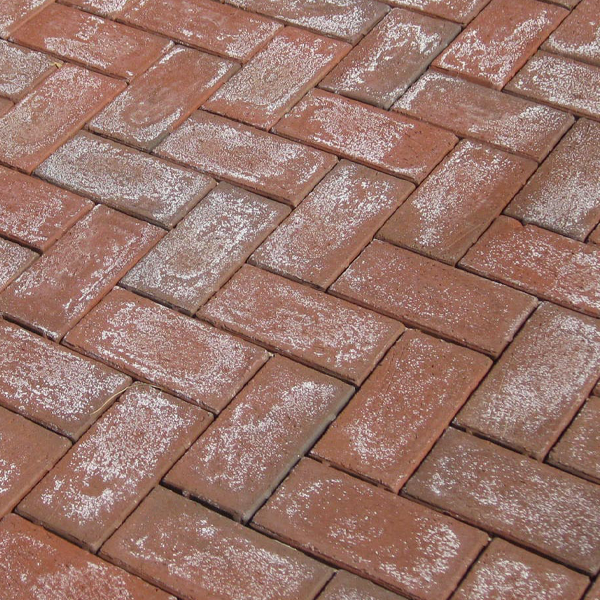 Efflorescence-600x600-web