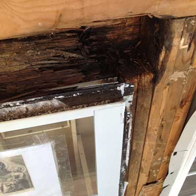 remove-rotted-materials